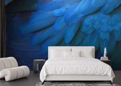 Beautiful blue macaw feathers. Wall mural