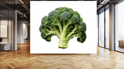 Broccoli isolated on white background in top view Wall mural