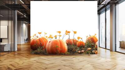 A lively pumpkin patch brimming with bright orange pumpkins and yellow flowers. This scene captures the vibrant essence of the autumn harvest season. Wall mural