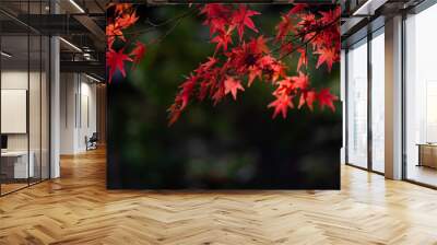 The natural texture of colorful maple leaves or Momijigari in autumn at Japan. Light sunset of the sun with dramatic yellow and orange sky. Image depth of field. Wall mural