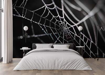 Close-up of a spider web with dew drops. Wall mural