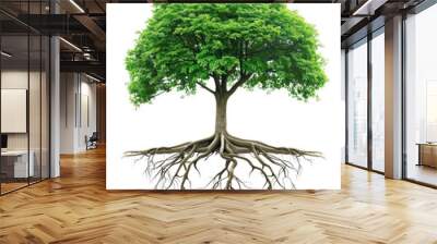 Illustration of green tree with extensive root system on transparent background, representing growth, nature, and environmental themes. Wall mural