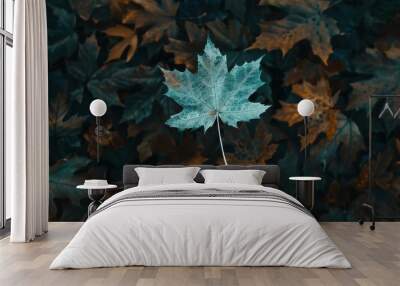 Single teal leaf amongst brown autumn leaves Wall mural