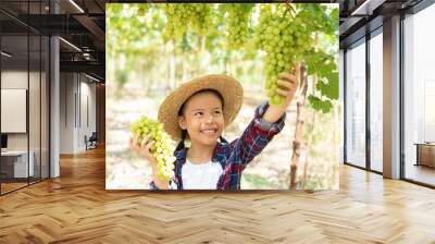 Grape farm. Small family business. The child worked happily on the farm. A young Asian woman held a large bunch of grapes in her hand and was choosing green grapes on the vine in the vineyard.. Wall mural