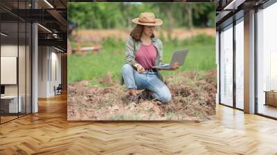 Researchers are checking soil and collecting soil samples for planting, while tractor baling in background, High technology innovations for increasing productivity. Smart agriculture concept. Wall mural