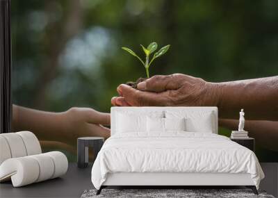 two hands holding together a green young plant. world environment day and sustainable environment in elderly people and children's volunteer hands. ecology concept Wall mural