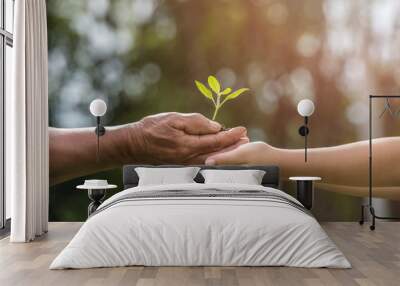 two hands holding together a green young plant. world environment day and sustainable environment in elderly people and children's volunteer hands. ecology concept Wall mural