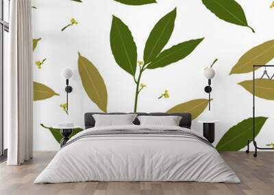 Seamless pattern of bay leaf. Fresh bay leaf herb. Bay leaves vector illustration on white background Wall mural