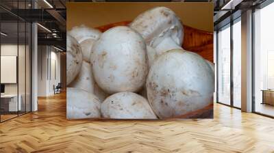 Edible porcini mushrooms in a bowl Wall mural