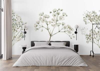 A set of watercolor branches of white gypsophila png. Delicate white gypsophila flowers with green stems on transparent isolated background. Element for invitations, flower arrangements. Wall mural