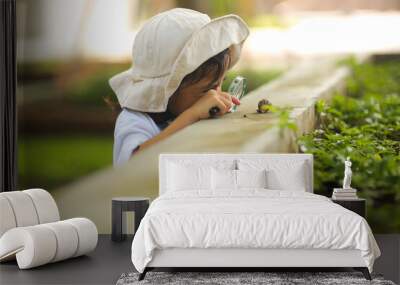 Little kid girl asian wearing a white hat and jeans jumpsuit and xploring nature with a magnifying glass. Which increases the development and enhances outside the classroom learning skills concept. Wall mural