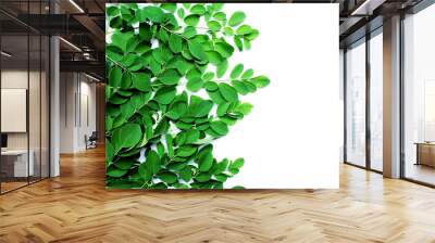 Moringa leaves (Moringa oleifera) isolated on white background. Flat lay, top view, super food, vitamin. Wall mural