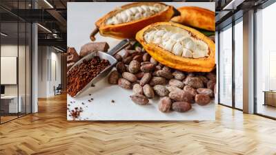 Half cacao pods with cacao fruit and brown cocoa    powder Wall mural