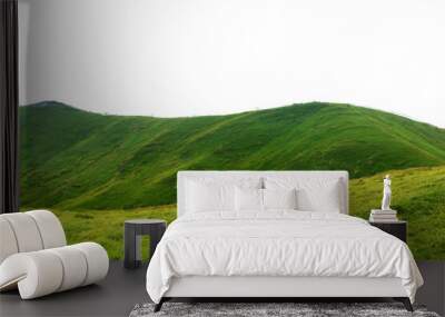 Panoramic green grass hill isolated from background. Wall mural