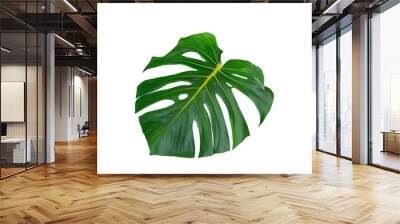 Tropical leaves isolated on white background.  Wall mural