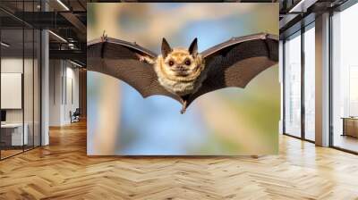 Flying Bat With Spread Wings and Blurred Background Wall mural