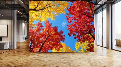 A tree with yellow leaves is in the foreground and a tree with red leaves is in the background. The sky is blue and clear Wall mural