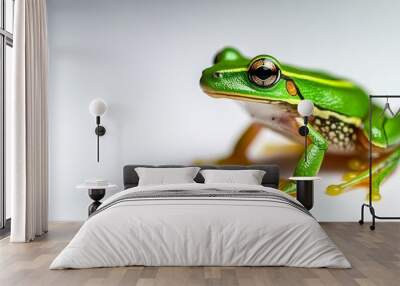 A cute small green frog with yellow toes sits on a white background, representing nature, wildlife, amphibians, cuteness, and spring. Wall mural