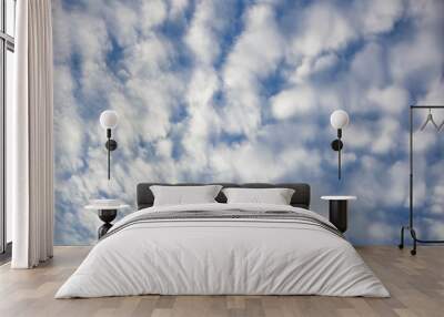 Beautiful panoramic landscape with the blue cloudy Wall mural