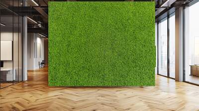 Green grass soccer field background. Wall mural