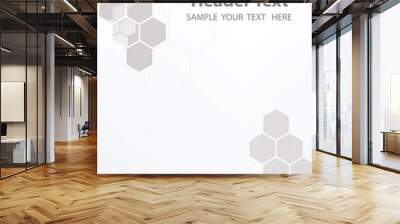 Vector Abstract geometric White background. Template brochure design. Gray hexagon shape Wall mural