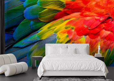 Close up of Scarlet macaw bird's feathers, exotic nature background and texture. Wall mural