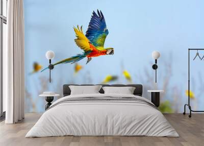 green wing macaw flying with blue sky background. Wall mural