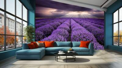 Rays over lavender field Wall mural