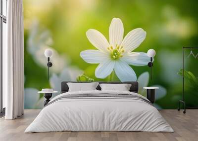 White Flower in Spring Wall mural