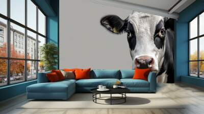 black and white cow Wall mural