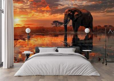 African Elephant in water at sunset with reflection Wall mural