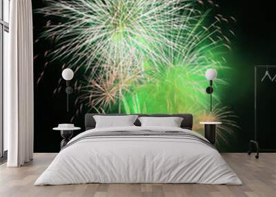 green dandelion fireworks Wall mural