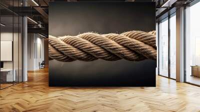 Close-up of thick, knotted rope against a dark background, rope, close-up, texture, thick, twisted, tangled, knot, dark Wall mural