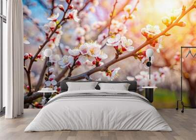 Closeup of blooming flowering apricot tree in the sunny spring garden , flower, apricot, spring, blooming, closeup, garden, sunny Wall mural