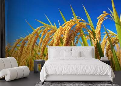 Ears of rice standing tall against a clear blue sky , agriculture, crop, nature, growth, harvest, farmland, organic Wall mural