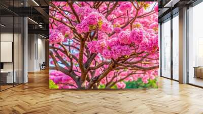 Pink trumpet tree with vibrant pink flowers and lush green leaves, nature, tropical, flora, blossoms, colorful, botanical Wall mural