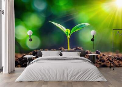 Vibrant green sprout emerging from soil , growth, new life, nature, plant, young, seedling, beginning, vitality, freshness Wall mural