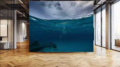  Dark blue ocean surface seen from underwater sea diving deep seascape aquatic background with calmness purity texture Wall mural