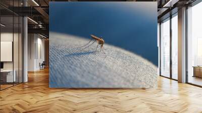 bite of a mosquito on human body through the fabric Wall mural