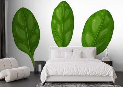 Spinach. Tasty fresh herb green leaves. Healthy vegetarian food. Wall mural