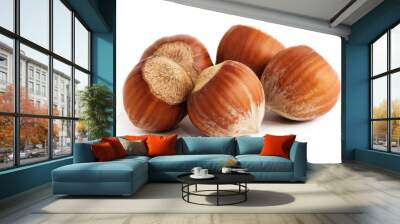 Hazelnuts on white background Wall mural