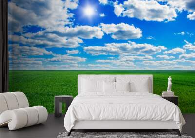 Image of green grass field and bright blue sky Wall mural