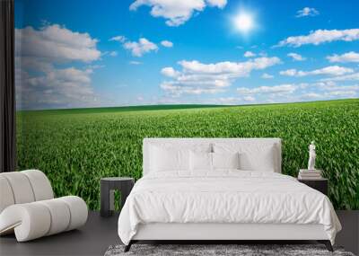 Image of green grass field and bright blue sky Wall mural