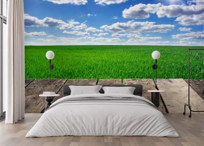 Image of green grass field and bright blue sky Wall mural