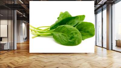 Spinach on a white background Wall mural