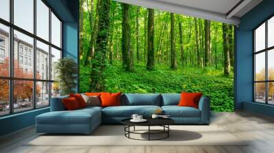 Sunlight in the green forest, spring time Wall mural