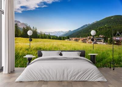 alpine meadows in san martino di castrozza Wall mural