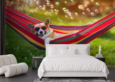  cute corgi dog puppy lies in a hammock in a sunny summer garden on a hot day surrounded by soap bubbles Wall mural