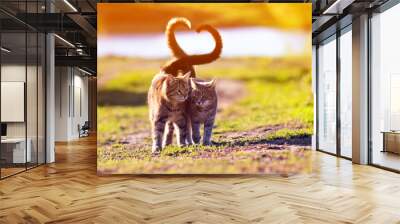 a pair of cute lovers striped cat walking on a Sunny path in a warm spring garden twisting their tails in the heart Wall mural