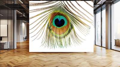 beautiful multi-colored and brilliant feather of the peacock's tail on a white isolated background Wall mural